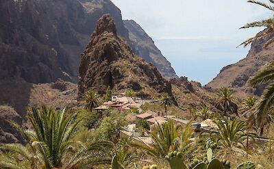 Masca, Tenerife, Canary Islands, Spain. Unsplash:Nicole Arango Lang