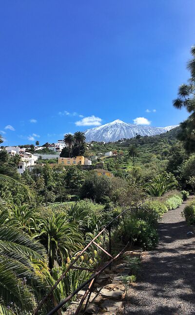 Tenerife is part of the Canary Islands belonging to Spain. Unsplash:Maria Bobrova