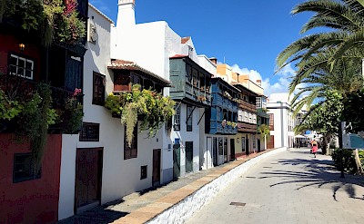 Palm trees on a street, Tenerife, Spain. Unsplash@Marc Tiedemann