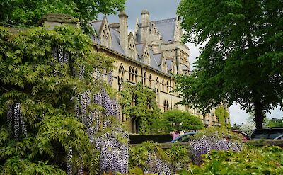Christchurch College, Oxford. Unsplash: Beth MacDonald