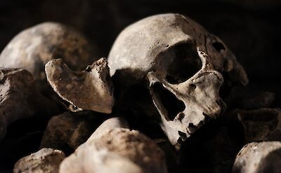 Catacombs of Paris, France. Unsplash: Chelms Varthoumlien