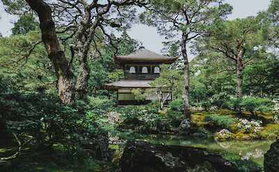 Kyoto, Japan. Unsplash: Top Cool Stee
