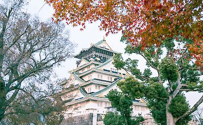 Osaka castle. Unsplash: Xyrene