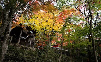 Arima Onsen hot springs, Kobe. Flickr: Seisf