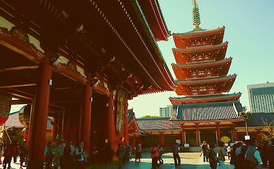 Sensoji Temple, Tokyo. Unsplash: Florencia Lewis