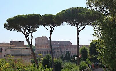 Colosseum, Rome. Unsplash: Roman Wimmers