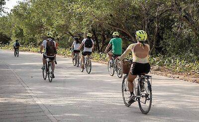 Group bike tour, Tulum, Mexico. CC:Mexico Kan Tours