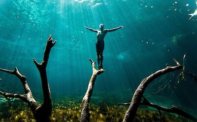 Swimming in a cenote, Tulum. Unsplash: woody Kelly