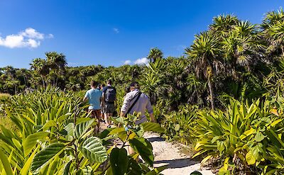 Walking through the foliage, Tulum, Mexico. CC:Mexico Kan Tours