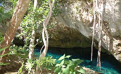 Cenote, Tulum, Mexico. Flickr: Gautier Poupeau