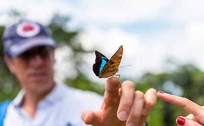 A visit to the Morphosapi Butterfly Sanctuary