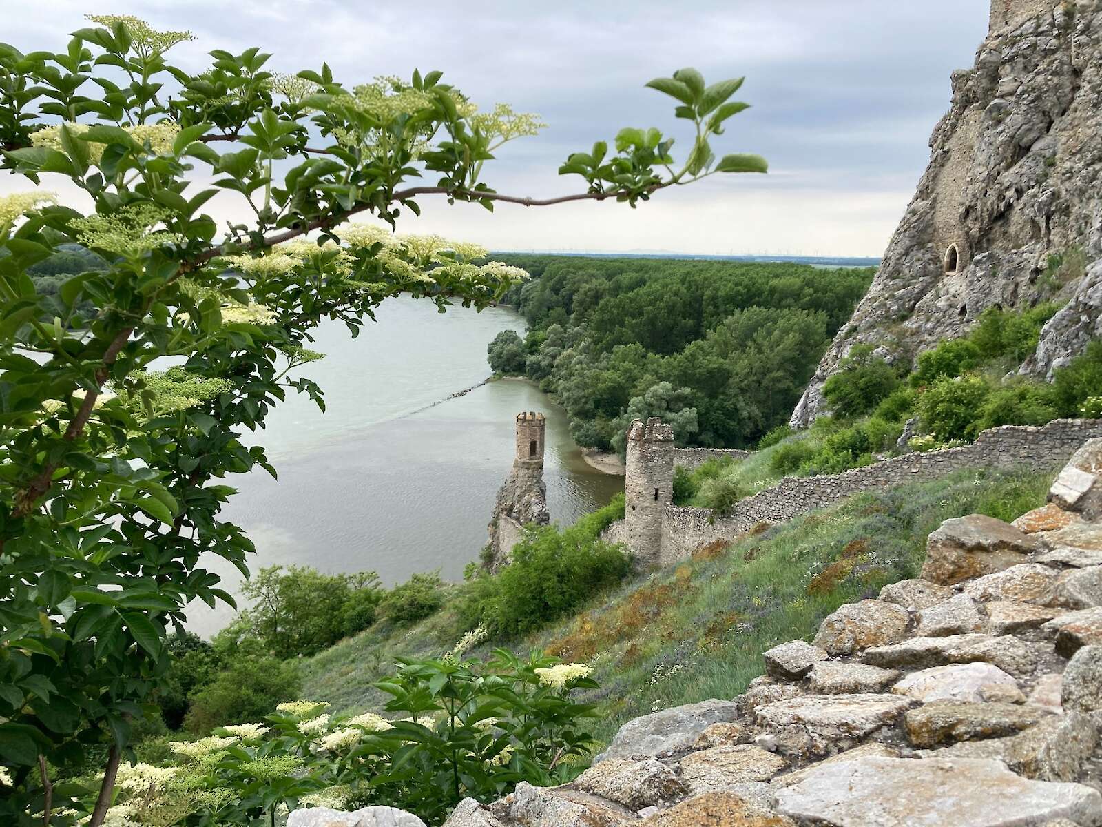 The confluence of the Morava River and the Danube at Castle Devin