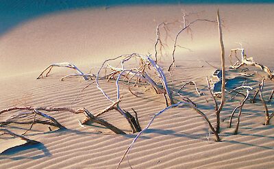 Death Valley, California, USA. Getty Images@Unsplash