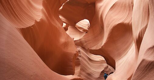 Lower Antelope Canyon, Arizona, USA. Unsplash: Leslie Cross