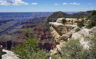 Grand Canyon, North Rim, Arizona, USA. Unsplash: Roger Lipera