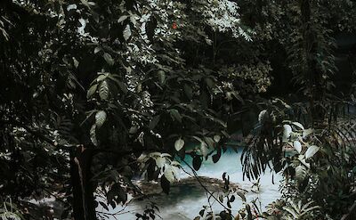 Dunn's River Falls seen through leaves, Ocho Rios, Jamaica. Lakeisha Bennett@Unsplash