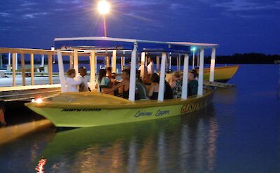 Luminos lagoon, boat tour, Falmouth, Jamaica.