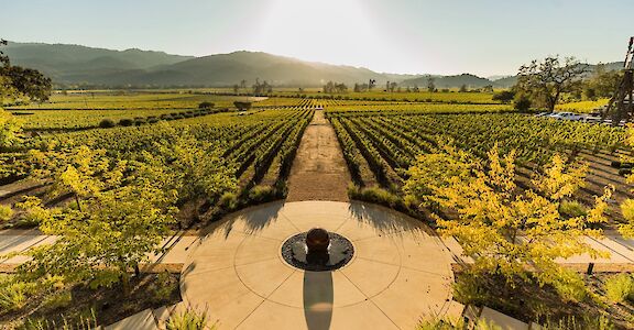 Vineyards of Sonoma County, California, USA. CC:Bohemian Highway