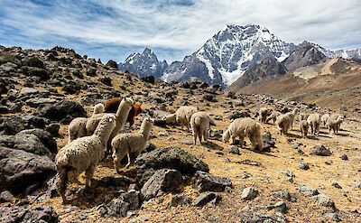 Typical Landscape View in Peru! Unsplash:Rodrigo Carillo