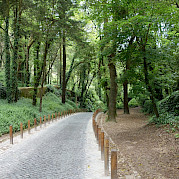Portugal, Land of Contrasts Photo