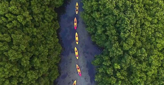 Kayaking through mangroves, Bio Bay, Puerto Rico.