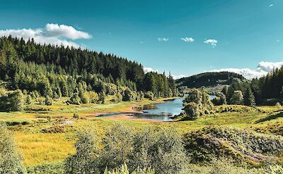 Reservoir, Trossachs, Scotland. Ruth Dacre Design@Unsplash