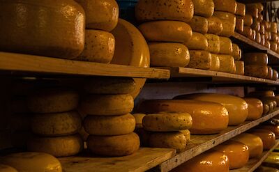 Dutch cheese, Netherlands. Steven Penton@Flickr