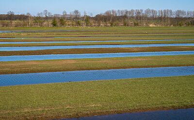 Waterland, Amsterdam, Netherlands. Lucas van Oort@Unsplash