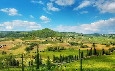 Tuscany, Italy. Zachary Brown@Unsplash