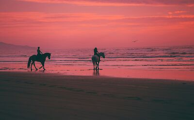 Horse riding at sunset. Austin Neill@Unsplash