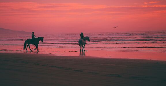 Horse riding at sunset. Austin Neill@Unsplash
