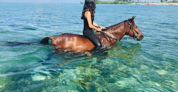 Riding a horse in the sea. Uzuri Safaris@Unsplash