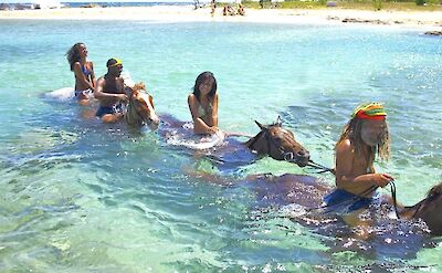 Swimming with horses, Jamaica. CC:El Sol Vida
