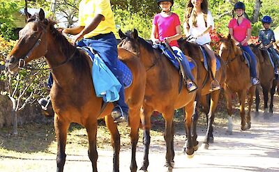 Guide leading family on a horse trek, Jamaica. CC:El Sol Vida