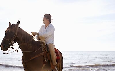 Looking out over the beach on a horse. Getty Images@Unsplash