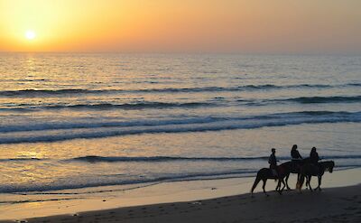 Sun setting on the beach during a horse trek. Olle August@Unsplash