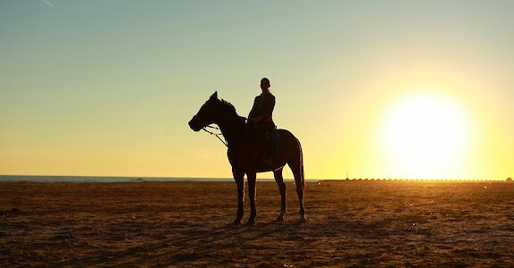 Horse riding at sunset. Chema Photo@Unsplash
