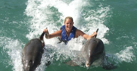 Swimming with two dolphins, Jamaica. CC:El Sol Vida