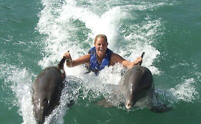 Dolphins pulling a woman through the waves, Jamaica. CC:El Sol Vida