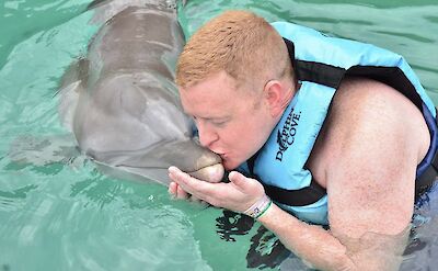 In the water with dolphins, Jamaica. CC:El Sol Vida