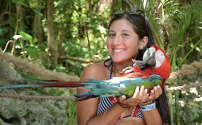 Meeting a parrot, Ocho Rios, Jamaica. CC:El Sol Vida