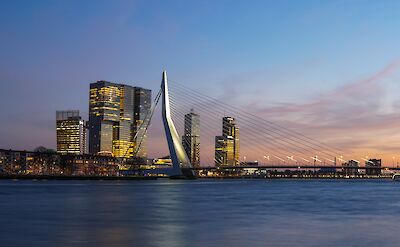 The Erasmusbrug Bridge in Rotterdam. Unsplash: Dennis Moller