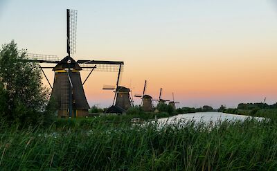 The Windmills of Kinderdijk. Unsplash: Thomas Bormans