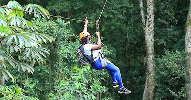 Zipline Tours tours