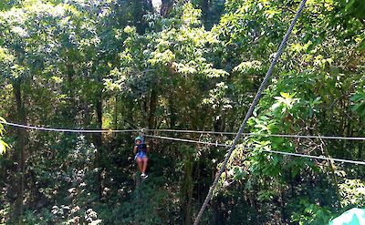 Zipline adventure tour, Jamaica. CC:El Sol Vida