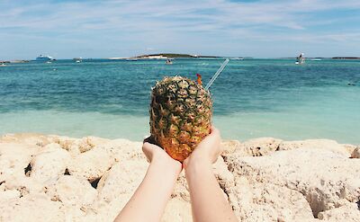 Pineapple, Bahamas. AJ Garcia@Unsplash