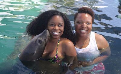 Kisses from the sea lion, Blue Lagoon Island, Bahamas. CC:El Sol Vida