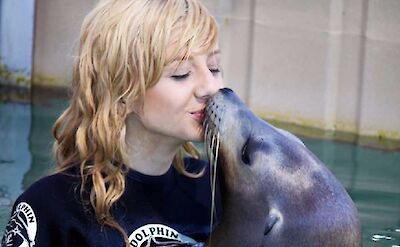 Sea lion encounter, Blue Lagoon Island, Bahamas. CC:El Sol Vida