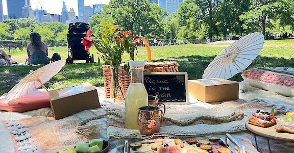 Gourmet picnic spread, Central Park, New York, USA. CC:Unlimited Biking