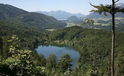 Looking down over Nunnensee -to